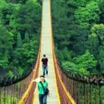 Tropical Escapes & Beach Getaways.